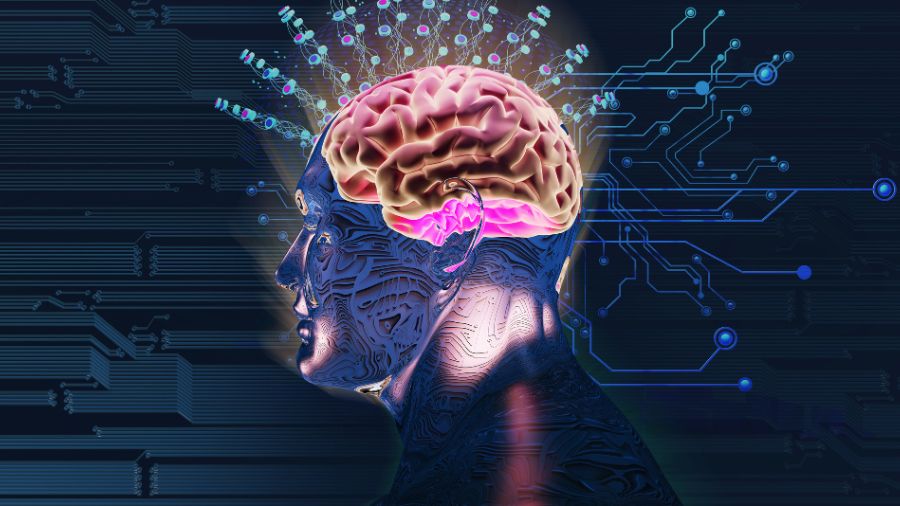 อารมณ์และสมอง วิธีที่สมองควบคุมและตอบสนองต่อความรู้สึก